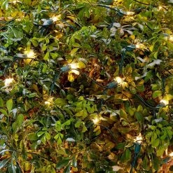 Home Accents Holiday 300L Clear Incandescent Mini Net Lights -HOME ACCENTS HOLIDAY Sales home accents holiday christmas net lights tol 300 6wb n c 40 1000