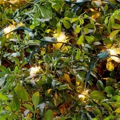 Home Accents Holiday 300L Clear Incandescent Mini Net Lights -HOME ACCENTS HOLIDAY Sales home accents holiday christmas net lights tol 300 6wb n c c3 1000