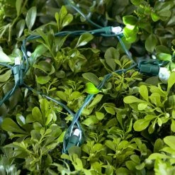 Home Accents Holiday 150L Cool White Dome LED Net Lights -HOME ACCENTS HOLIDAY Sales home accents holiday christmas net lights ty414 1615 1d 1000