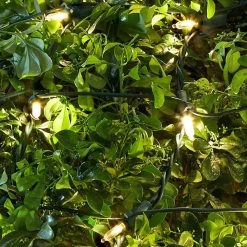 Home Accents Holiday 150L Warm White Mini LED Net Steady Lit Lights -HOME ACCENTS HOLIDAY Sales home accents holiday christmas net lights ty630 1715ww a0 1000