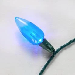 Home Accents Holiday 50L Warm White C9 LED Steady Lit Heavy Duty Lights -HOME ACCENTS HOLIDAY Sales home accents holiday christmas string lights 20090105061701h a0 1000