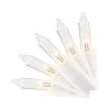 Home Accents Holiday 50L Clear Incandescent Mini White Wire Lights