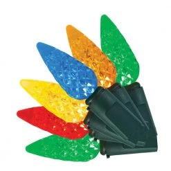 Home Accents Holiday 100L Multi Faceted C6 LED Steady Lit Lights