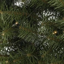 Home Accents Holiday 60 in Prelit Norwood Fir Wreath -HOME ACCENTS HOLIDAY Sales home accents holiday christmas wreaths nf 60wlo a0 1000