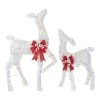 Home Accents Holiday 2-Piece Warm White LED Doe and Fawn Holiday Yard Decoration