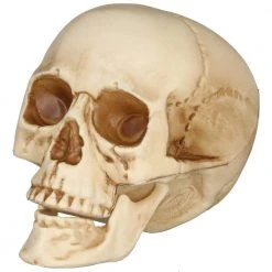 Home Accents Holiday 3-Piece Realistic Bag of Skulls -HOME ACCENTS HOLIDAY Sales home accents holiday halloween props 7345 07967 40 1000