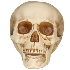 Home Accents Holiday 3-Piece Realistic Bag of Skulls -HOME ACCENTS HOLIDAY Sales home accents holiday halloween props 7345 07967 a0 1000