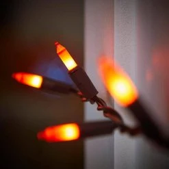 Home Accents Holiday 29 ft 6 in 100-Count Smooth Orange Mini LED Halloween String Lights -HOME ACCENTS HOLIDAY Sales home accents holiday halloween string lights ty022 2025 66 1000