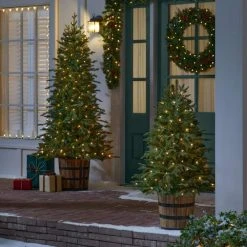 Home Accents Holiday 4 ft Fraser Fir Whiskey Barrel Potted -HOME ACCENTS HOLIDAY Sales home accents holiday outdoor christmas trees 22gr00215 1d 1000