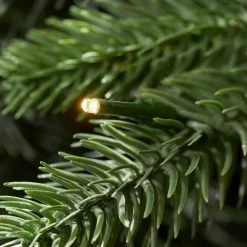 Home Accents Holiday 9 ft. Westwood Fir Christmas Tree -HOME ACCENTS HOLIDAY Sales home accents holiday pre lit christmas trees 21pg90244 1d 1000