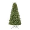 Home Accents Holiday 9 ft Jackson Noble Fir Christmas Tree -HOME ACCENTS HOLIDAY Sales home accents holiday pre lit christmas trees 21wl10159 64 1000