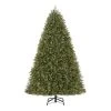 Home Accents Holiday 7.5 ft Dunland Fir Christmas Tree -HOME ACCENTS HOLIDAY Sales home accents holiday pre lit christmas trees 22wl10102 64 1000