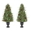 Home Accents Holiday 5 ft Woodmore Potted Christmas Tree 2-Pack -HOME ACCENTS HOLIDAY Sales home accents holiday pre lit christmas trees chzh3811602t14 64 1000