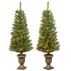 Home Accents Holiday 4 ft Montclair Spruce Potted 2-Pack -HOME ACCENTS HOLIDAY Sales home accents holiday pre lit christmas trees hmc7 310 40 2 64 1000