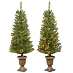 Home Accents Holiday 4 ft Montclair Spruce Potted 2-Pack