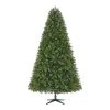 Home Accents Holiday 7.5 ft Wesley Pine Christmas Tree -HOME ACCENTS HOLIDAY Sales home accents holiday pre lit christmas trees tg76m3baqd00 64 1000