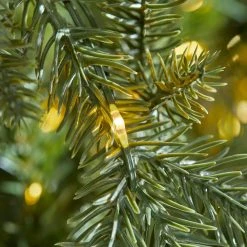 Home Accents Holiday 7.5 ft Jackson Noble Christmas Tree -HOME ACCENTS HOLIDAY Sales home accents holiday pre lit christmas trees w14n0202 1d 1000