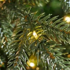 Home Accents Holiday 7.5 ft Jackson Noble Slim Christmas Tree -HOME ACCENTS HOLIDAY Sales home accents holiday pre lit christmas trees w14n0211 1d 1000