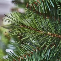 Home Accents Holiday 7.5 ft Wesley Pine Unlit Christmas Tree -HOME ACCENTS HOLIDAY Sales home accents holiday unlit christmas trees 22pg90180 a0 1000