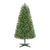 Unbranded 5 ft Woodtrail Fir Incandescent Christmas Tree